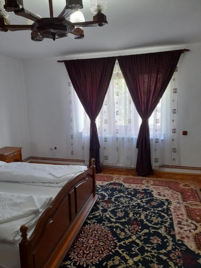 Casa Miki Ξενοδοχείο Haţeg Εξωτερικό φωτογραφία