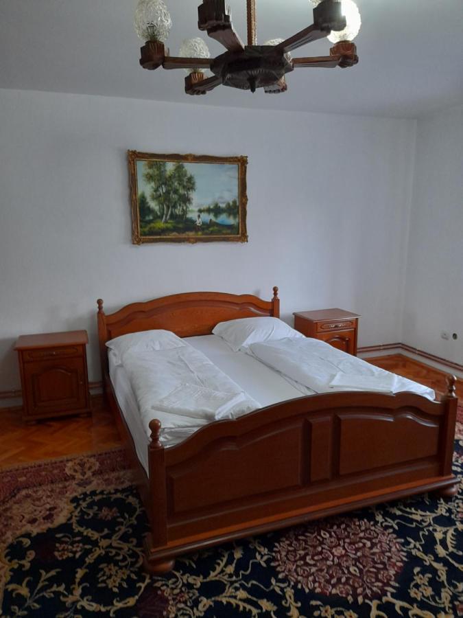Casa Miki Ξενοδοχείο Haţeg Εξωτερικό φωτογραφία