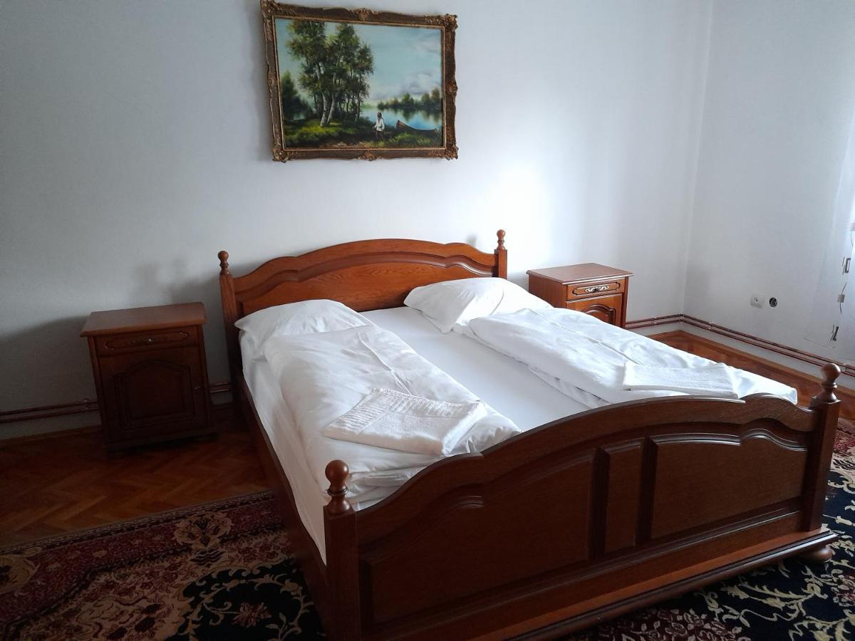 Casa Miki Ξενοδοχείο Haţeg Εξωτερικό φωτογραφία