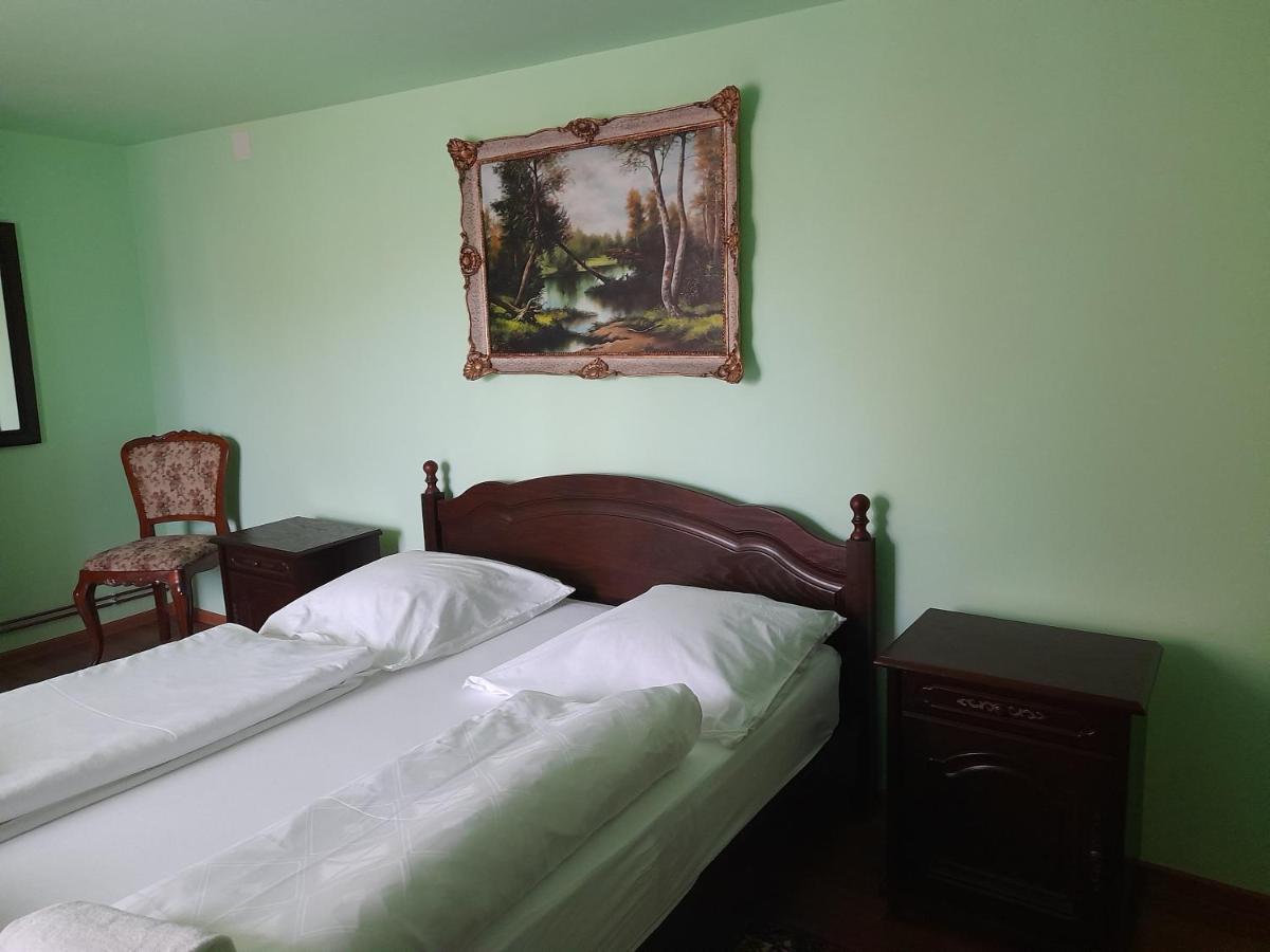 Casa Miki Ξενοδοχείο Haţeg Εξωτερικό φωτογραφία