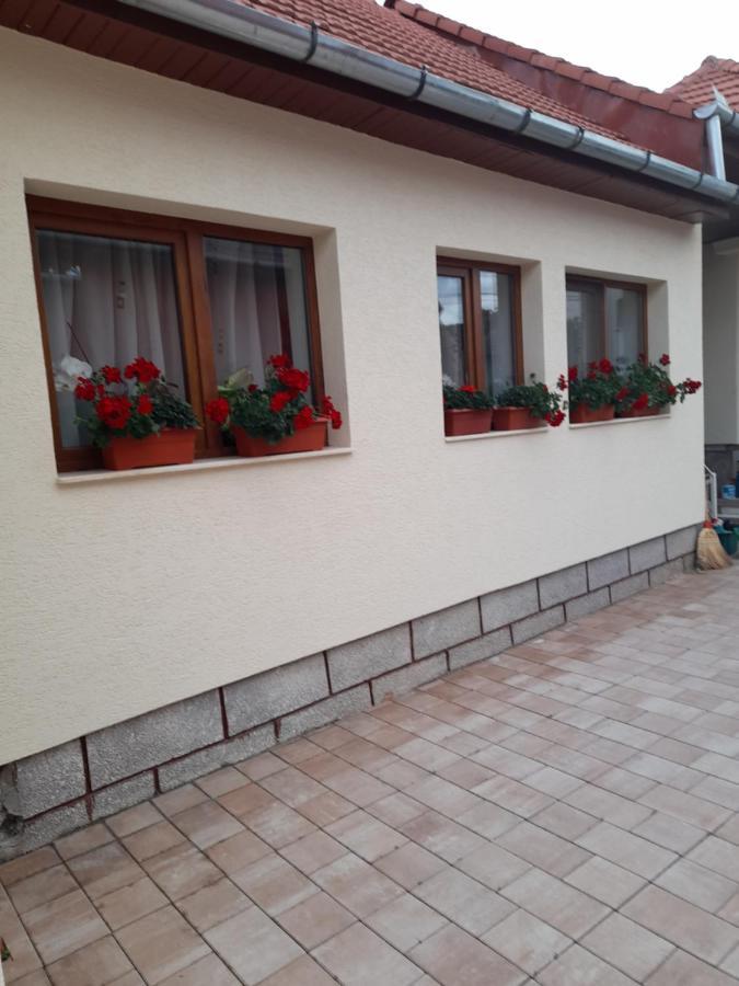 Casa Miki Ξενοδοχείο Haţeg Εξωτερικό φωτογραφία