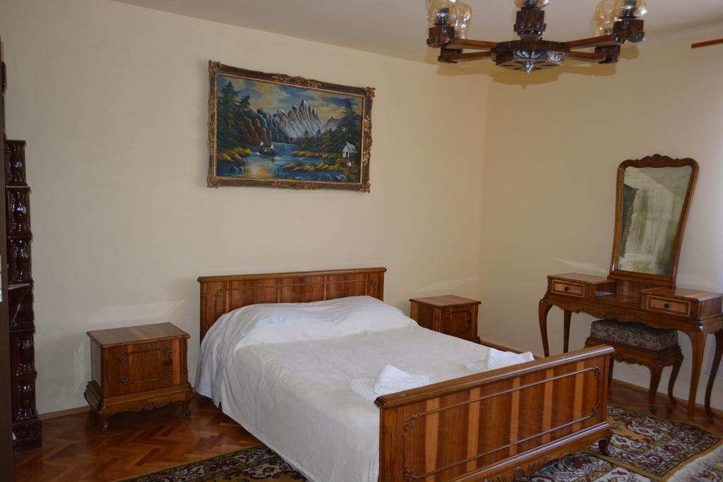 Casa Miki Ξενοδοχείο Haţeg Εξωτερικό φωτογραφία