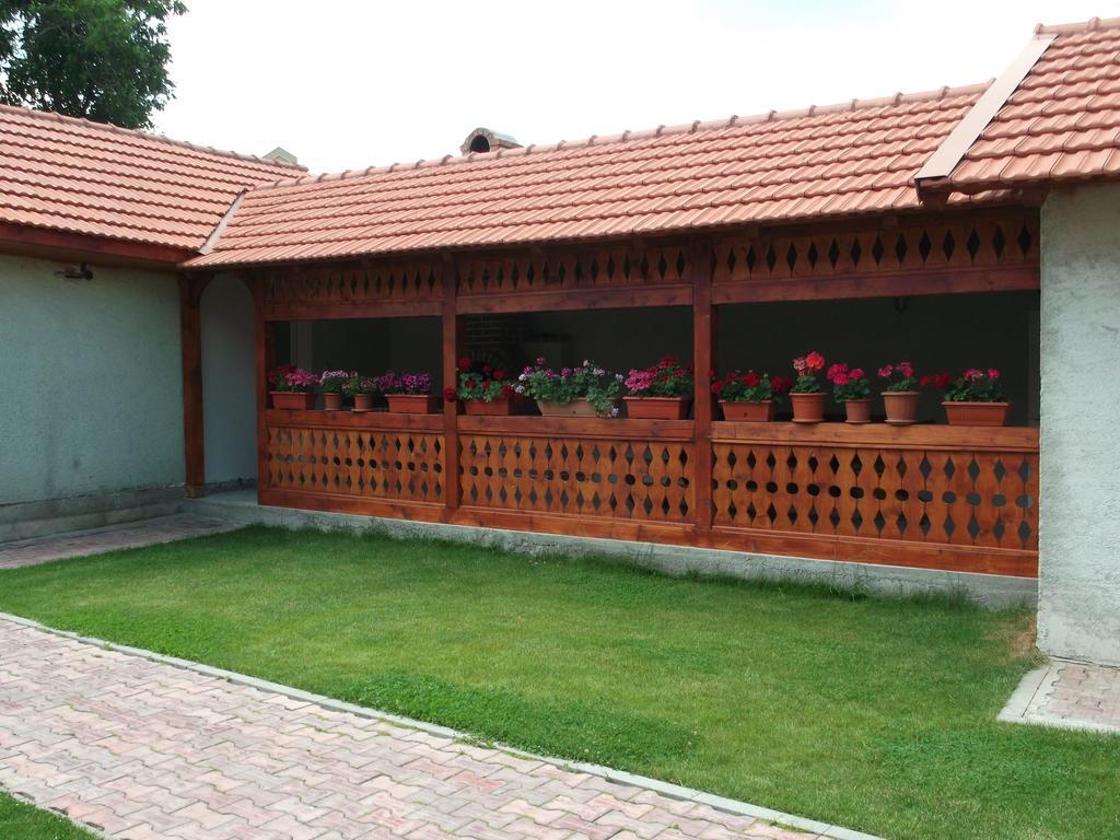 Casa Miki Ξενοδοχείο Haţeg Εξωτερικό φωτογραφία