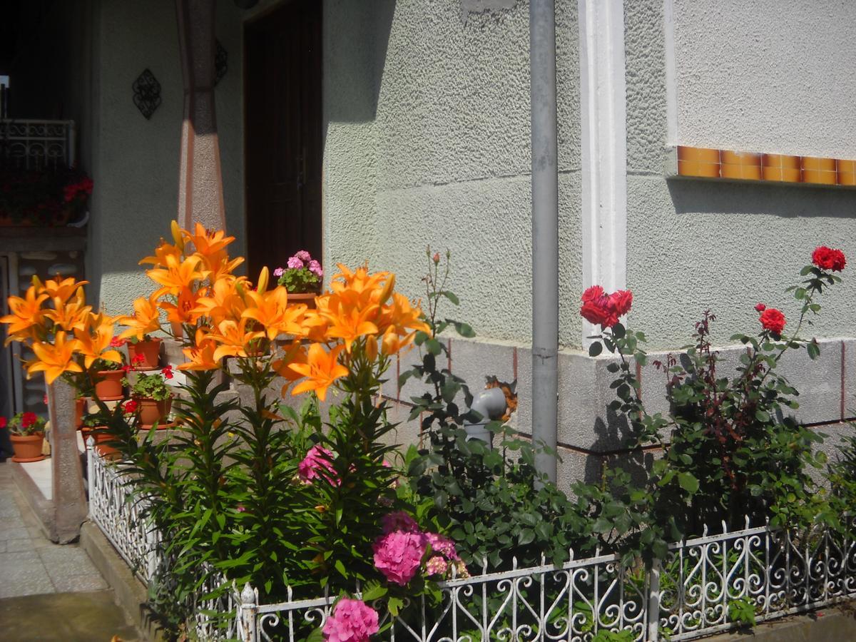 Casa Miki Ξενοδοχείο Haţeg Εξωτερικό φωτογραφία